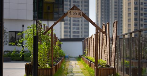 生物园